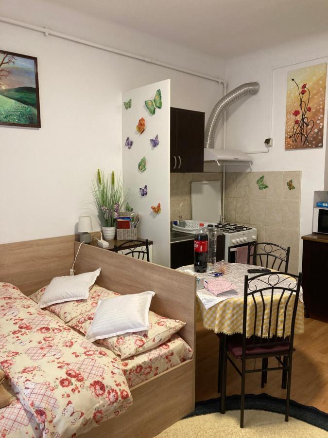 Apartmán House Centrul Istoric Sibiu Exteriér fotografie